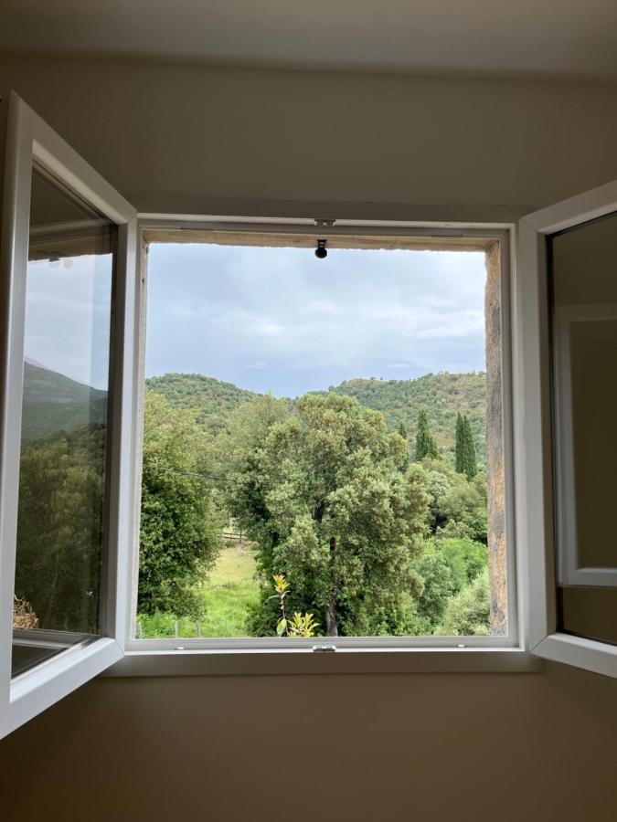 Appartement Soveria Exteriör bild